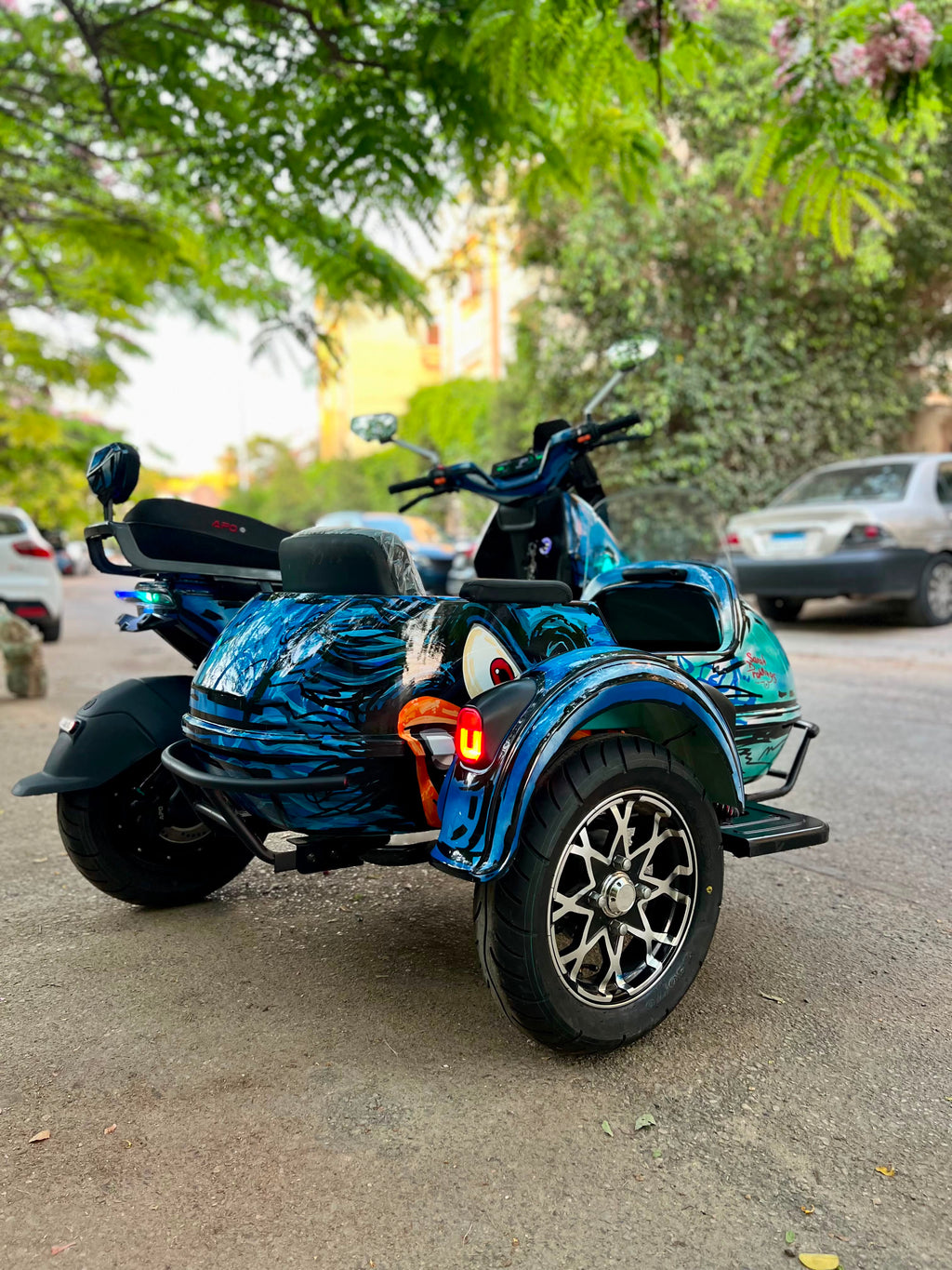 Side Car - Minimum Rental Period: 2 Days - 2000 LE / Per Day