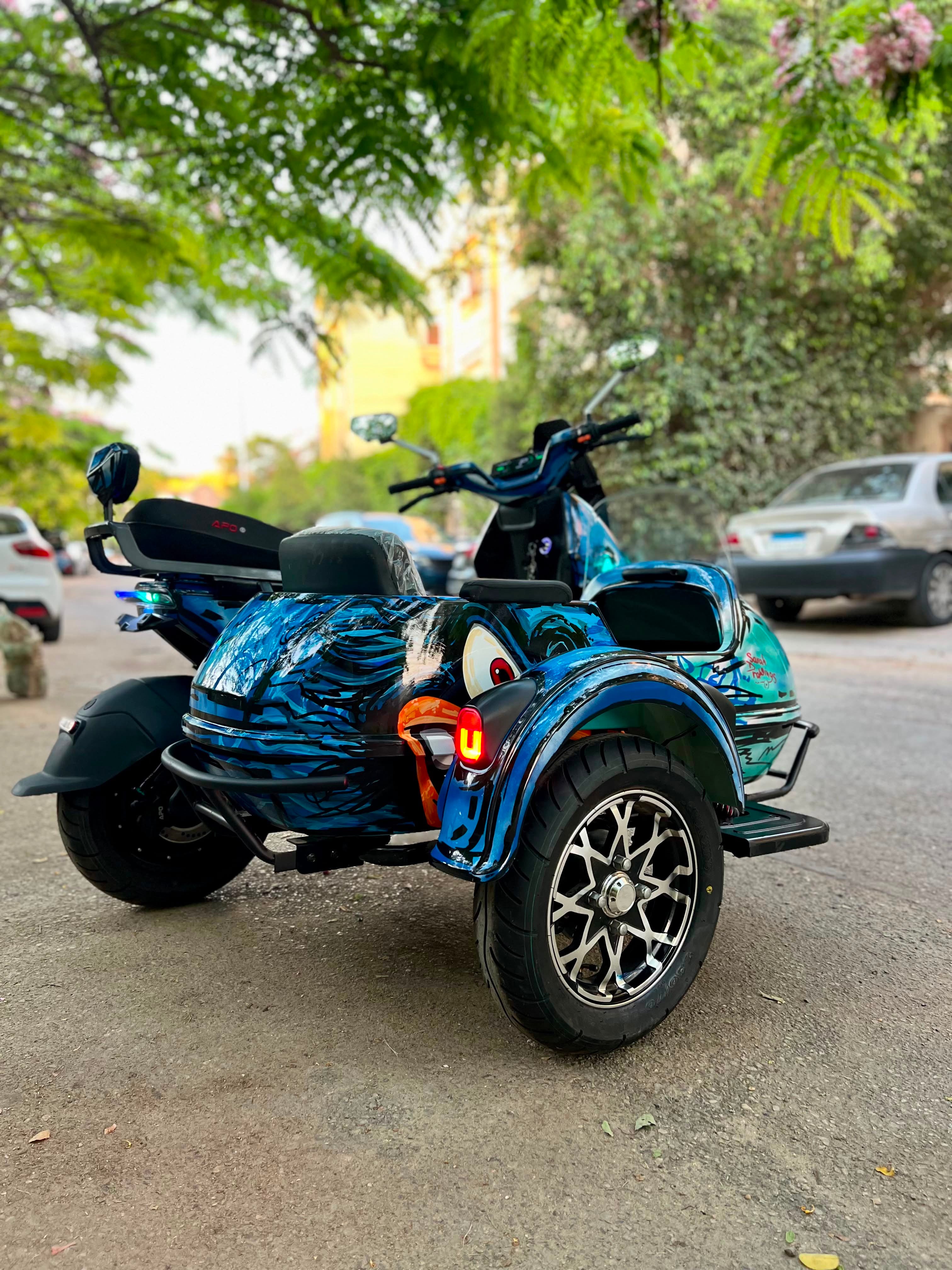 Side Car - Minimum Rental Period: 2 Days - 2000 LE / Per Day